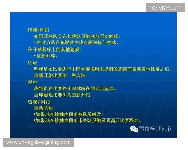 足球裁判判罚标准与实施